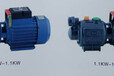 厂家直销WZB-1.5KW自来水增压浇灌螺杆自吸泵