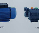 厂家直销WZB-1.5KW自来水增压浇灌螺杆自吸泵图片