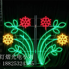 路灯杆亮化美化灯LED街道景观装饰灯路灯杆装饰LED造型灯厂家