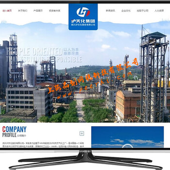 上海奉贤网站建设南桥企业网站设计庄行网站制作公司