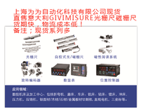 意大利GIVIMISURE光栅尺ISAW1分辨率1微米图片0