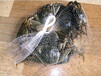 螃蟹专用网袋小龙虾、甲鱼扇贝、水产品网袋白色PE塑料包装网兜