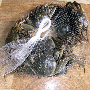 螃蟹网袋小龙虾、甲鱼扇贝、水产品网袋白色PE塑料包装网兜