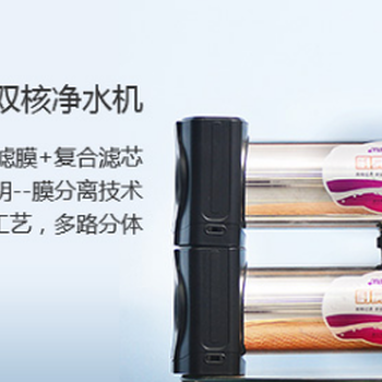 深圳美活實業(yè)有限公司大量批發(fā)廚飲兩用凈水器(雙子星)