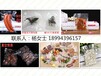 熟食压缩袋食品保鲜袋透明包装袋食品塑料包装袋