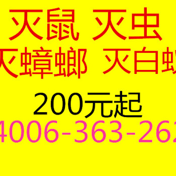 灭老鼠灭蟑螂灭飞虫灭鼠灭跳蚤