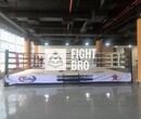 Fighters/飞特氏国际标准高台摔跤散打拳击擂台专业比赛拳击擂台