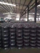 牛栏网生产厂家钢丝护栏网铁丝围栏网养殖钢丝网青海钢丝网