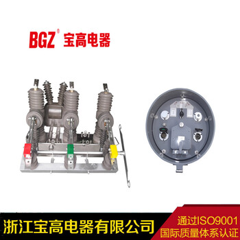 山东10KV智能重合闸户外高压真空断路器柱上开关