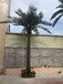 2017年最新出炉的中东海藻树仿真室内外海藻树玻璃钢海藻树
