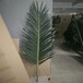 仿真椰子叶室内小椰子叶椰子树配件厂家直销批发仿真植物