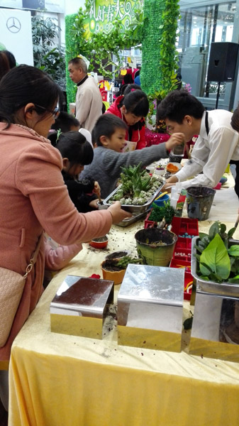 多肉植物diy海洋多肉植物微景观承接深圳多肉植物DIY活动