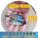  Guangdong fresh freshwater grouper fry Huizhou grouper fry breeding prospect Supply of various preferred freshwater grouper fry