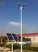 福瑞光电40瓦太阳能灯头廊坊新农村建设太阳能路灯太阳能蓄电池