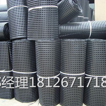 广州排水板厂家直销排水板价格番禺排水板厂家直销