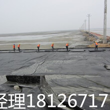 广州排水板番禺排水板厂家沙湾排水板批发