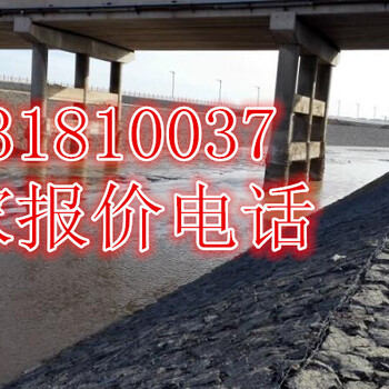 岸坡防沖刷護岸綠濱墊岸灘治理綠濱墊