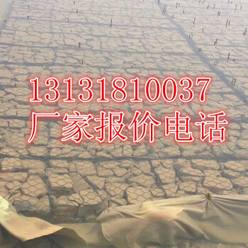 河道護(hù)底格賓石籠防洪固堤格賓石籠