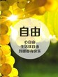 诚意求购一般人公司，海淀区科贸公司