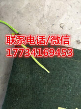 阳江防汛沙袋报价/防汛沙袋大量现货/防洪沙袋生产厂家图片