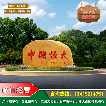 株洲公司大型招牌石村牌地名石株洲景區(qū)園林黃蠟石小區(qū)文化景觀石