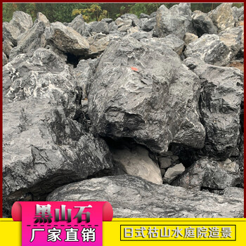 小區(qū)庭院石子路黑山石產(chǎn)地園林設(shè)計(jì)假山石
