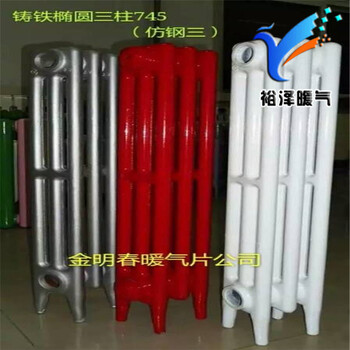 TZY2-100/6-8（10）100铸铁散热器柱翼暖气片