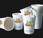 兴国县纸杯厂、广告纸杯免费设计、一次性纸杯定制加工厂、贝弘纸杯免费设计LOGO