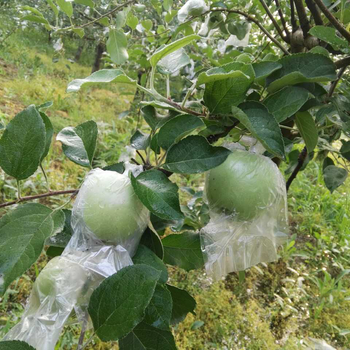 进口水溶肥如何辨别真假？