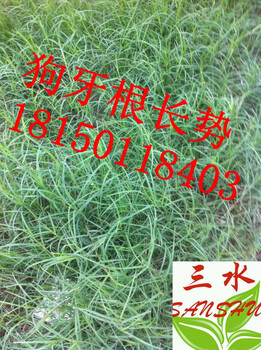 云南地區(qū)供應(yīng)公路路纜護(hù)欄施工工藝方案及綠化邊坡資材花草種子