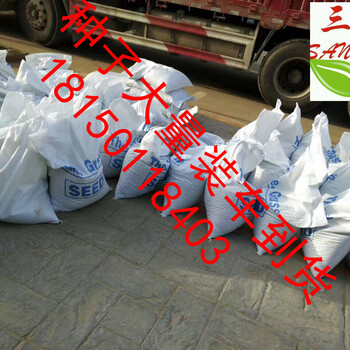 云南麗江安寧龍巖哪里有賣高速公路山體滑坡CF網(wǎng)無紡布鐵絲網(wǎng)