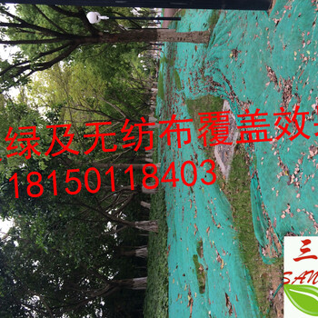 云南武定縣客土噴播施工方案綠化護坡花草種子高速邊坡基肥資材草籽