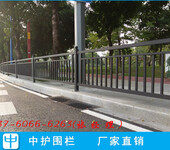 海口城市美化护栏绿化带隔离栅道路护栏市政交通栏杆
