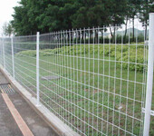 佛山隔离栅公园铁丝网围栏防攀网护栏图片市政护栏网
