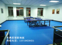 乒乓球橡胶地板厂家，乒乓球橡胶地板批发图片4