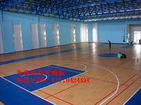 塑胶篮球场，篮球场施工，篮球场标准尺寸图片2