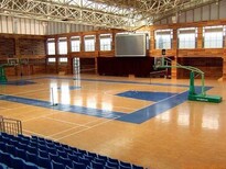 塑胶篮球场，篮球场施工，篮球场标准尺寸图片0