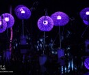 灯展大型春节灯光节LED造型灯上门制作