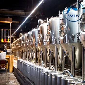 北京史密力维自酿啤酒设备厂家产量200斤小型自酿啤酒设备价格