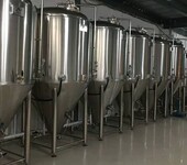 一套原浆鲜啤生产设备，日产2吨小型啤酒厂设备需要多少钱？