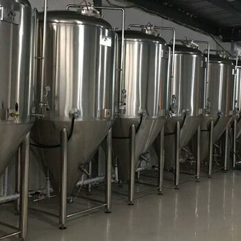 一套原浆鲜啤生产设备，日产2吨小型啤酒厂设备需要多少钱？