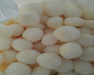 白山纤维球滤料,白山纤维球滤料价格,白山纤维球滤料厂家图片5