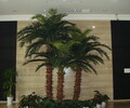 厂家直销仿真椰子树室内外安装假椰子树棕榈树大厅摆放椰子树