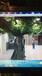 山西省太原市假榕树水泥榕树玻璃钢树脂室内外安装大型假树