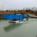广州水草清理机械水葫芦清理处理设备水面垃圾清理船
