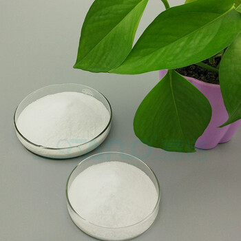 赛诺供应分散润滑剂EBS粉化工厂家乙撑双硬脂酸酰胺规格
