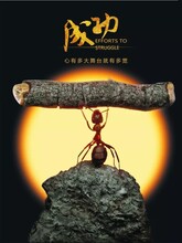 哪家公司辦理可以增值電信業(yè)務(wù)許可證存儲(chǔ)轉(zhuǎn)發(fā)類業(yè)務(wù)