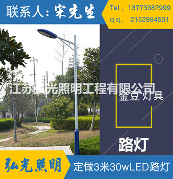 江苏弘光照明公司生产3米30W.LED路灯户外道路灯