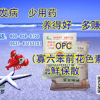 济南普罗特色：水产产品OPC鲜保散---南美白对虾不爱吃料的七个可能原因分析