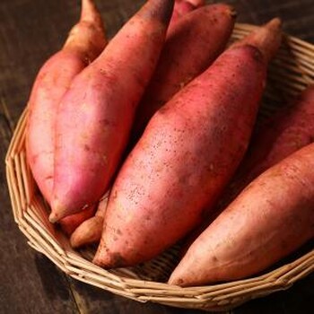 红薯地瓜坊烧烤型红薯地瓜大量批发对外销售